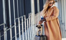 Barcelona con tu perro