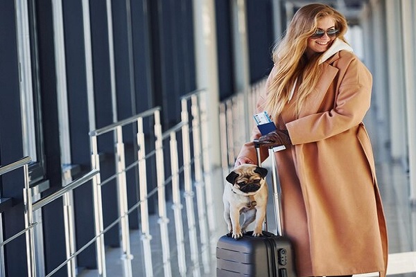 Barcelona con tu perro
