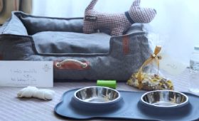 Hoteles pet-friendly en Barcelona