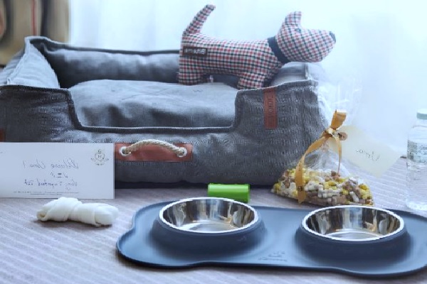 Hoteles pet-friendly en Barcelona