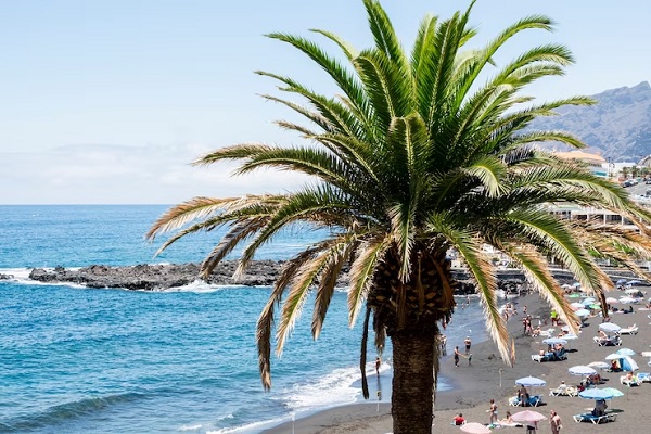 Playas de Barcelona