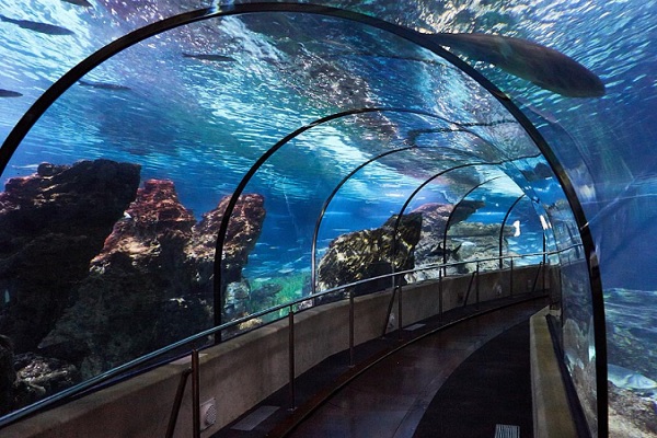 cuanto se tarda en ver el aquarium de Barcelona
