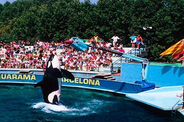 zoo Barcelona