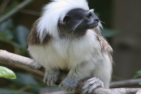 zoo Barcelona