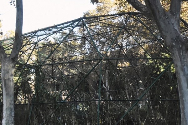 pajarera de vuelo zoo Barcelona