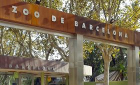 zoo de Barcelona