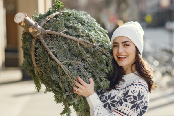 Árbol de navidad